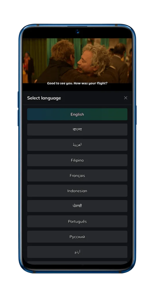 Subtitles Support